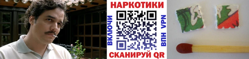 Какие есть наркотики Богородск Cocaine  Альфа ПВП  ГАШИШ  Амфетамин  Мефедрон 