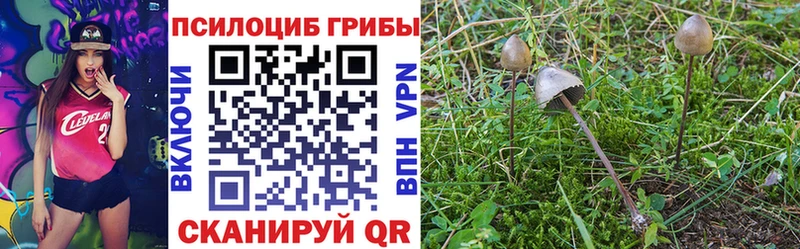 Псилоцибиновые грибы мухоморы  Богородск 