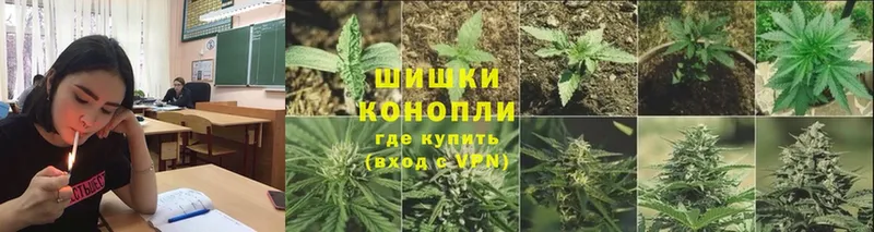 хочу   Богородск  Марихуана OG Kush 